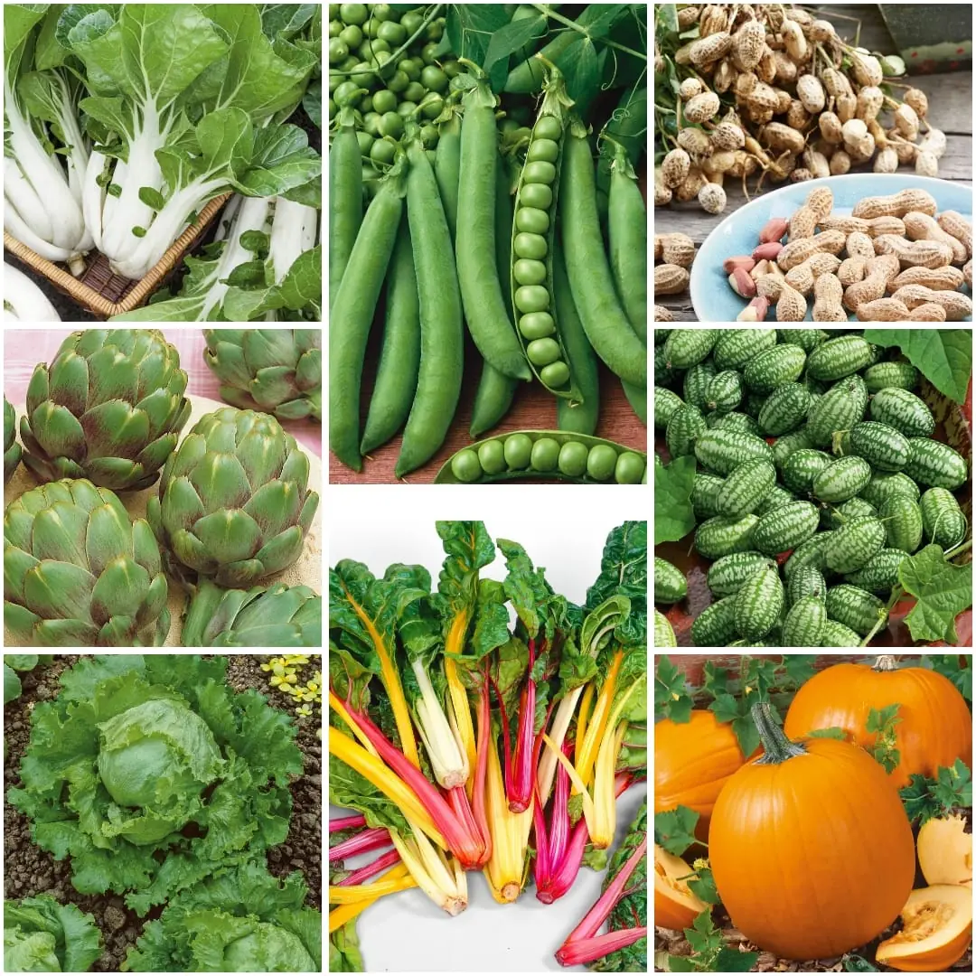 More vegetable varieties we grow to order