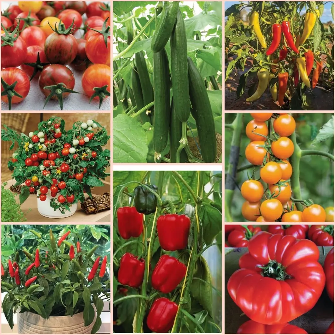 More vegetable varieties we grow to order